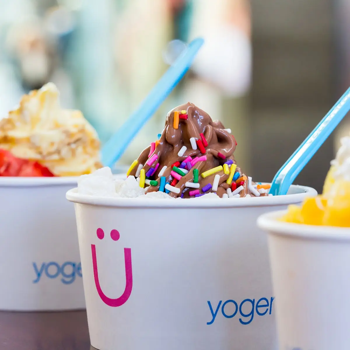 Soft Serve Yogurt