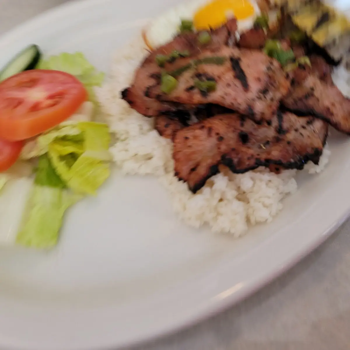 Broken Rice Combo