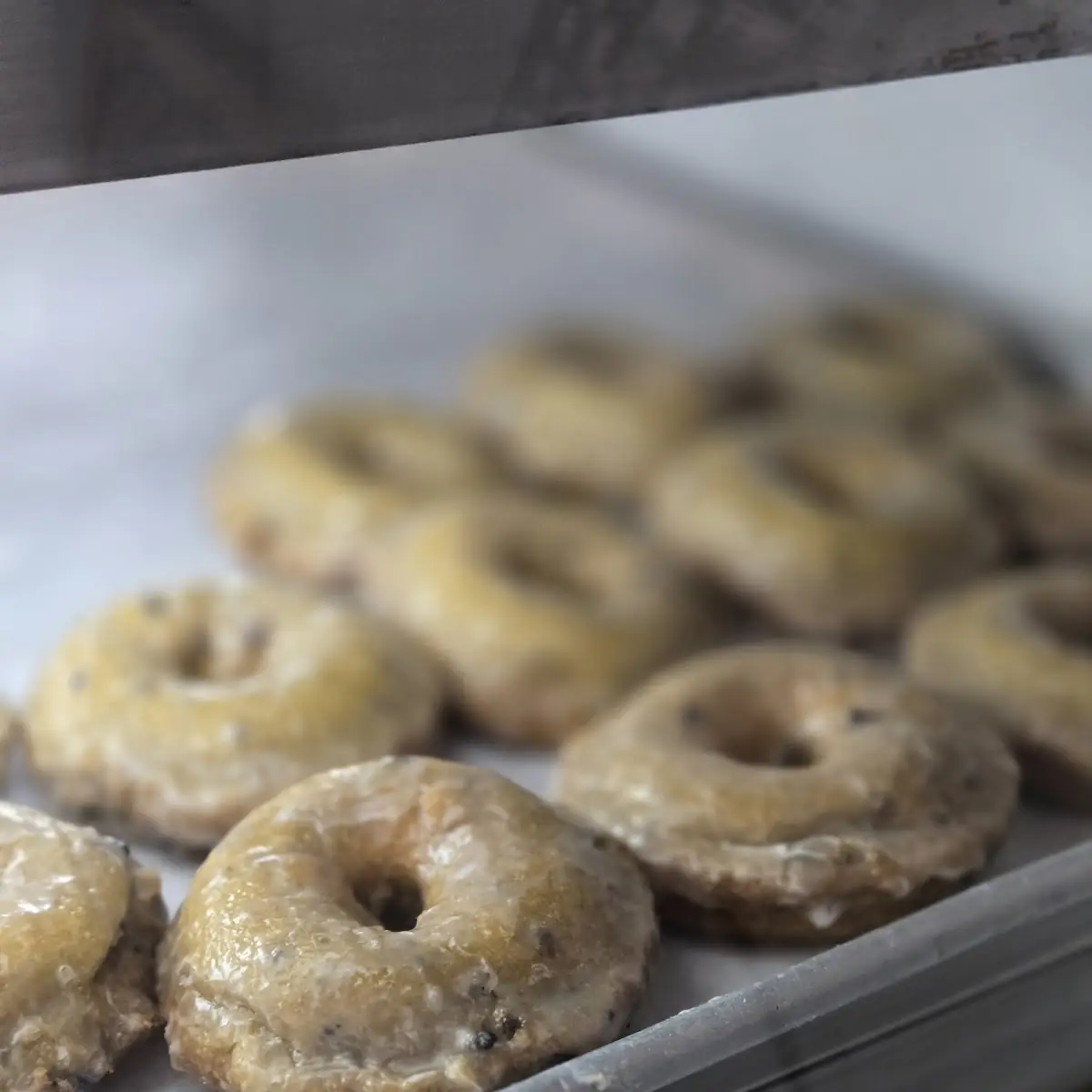 Doughnut