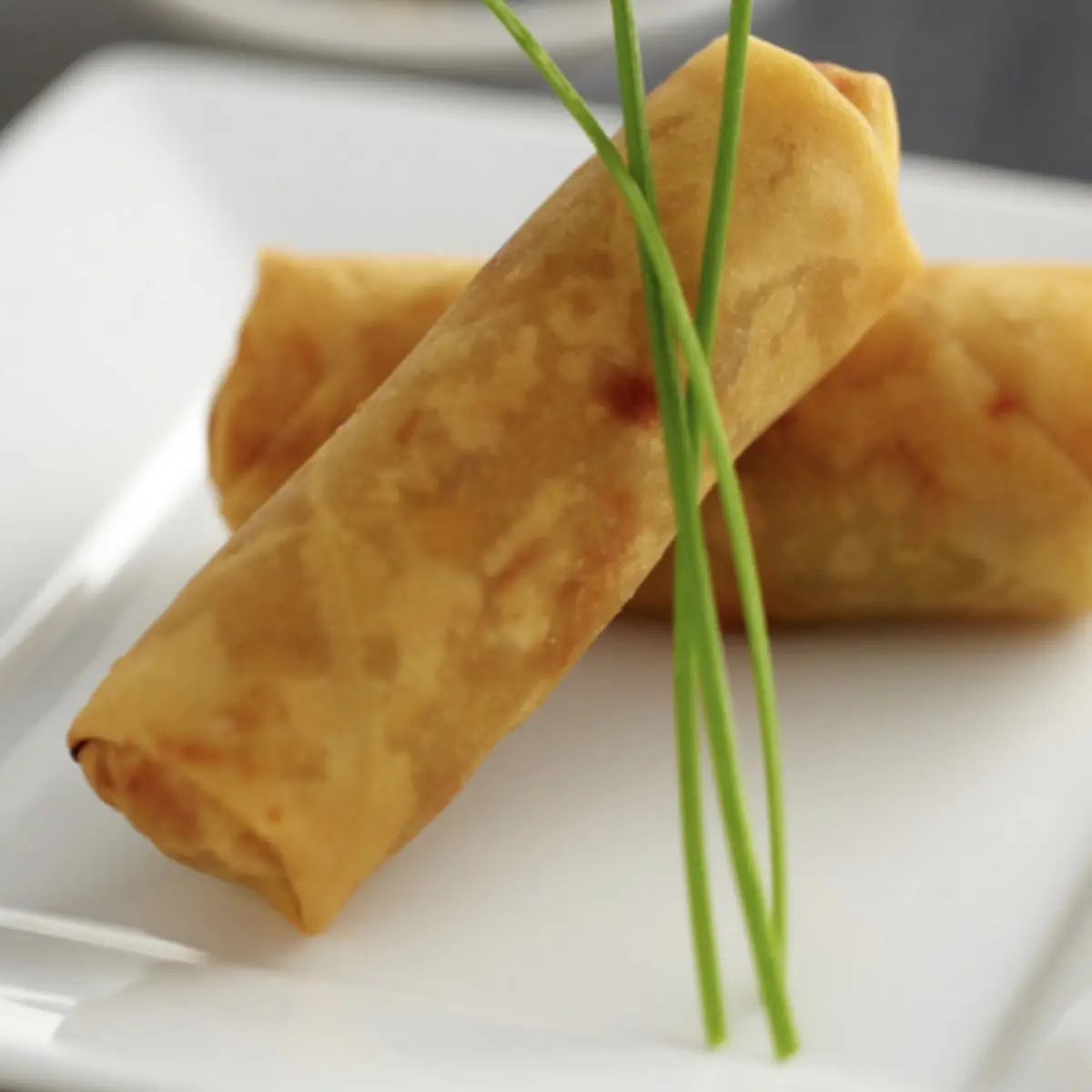 Vegetable Spring Roll