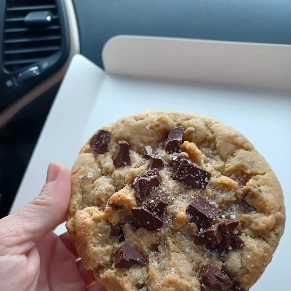 Chocolate Chip