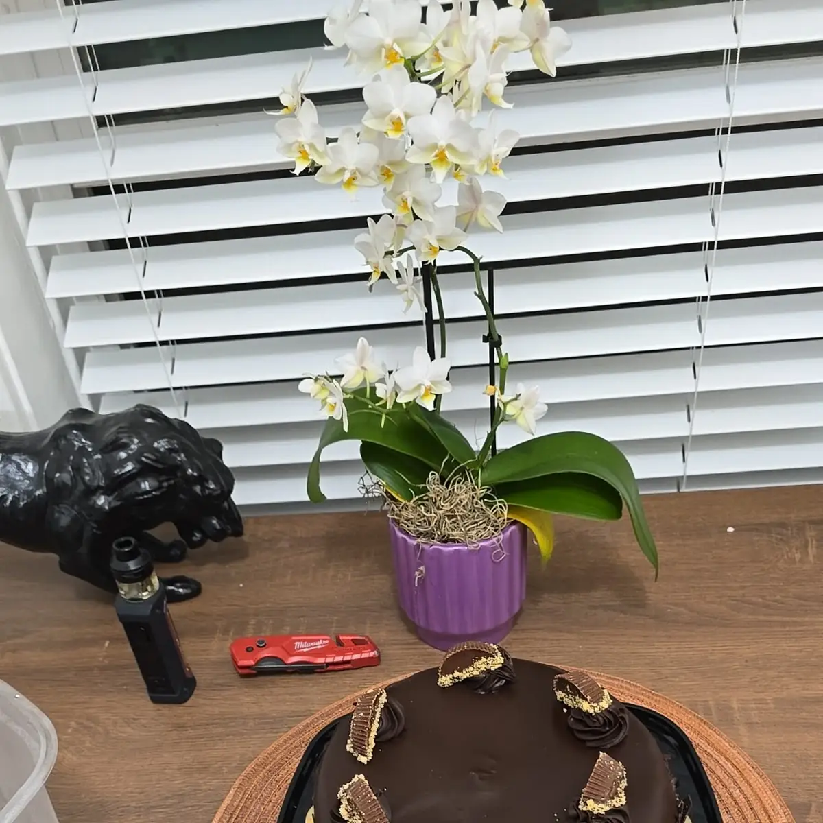 Chocolate Peanut Butter Cup Ice Cream Cake