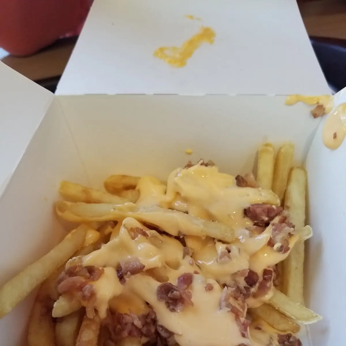 World Famous Fries