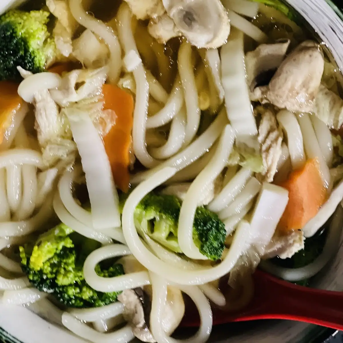 Chicken Udon Noodle Soup