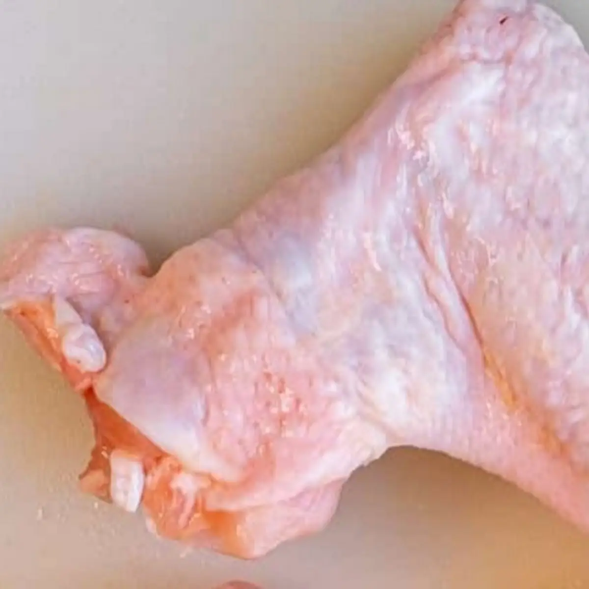 Whole Wings