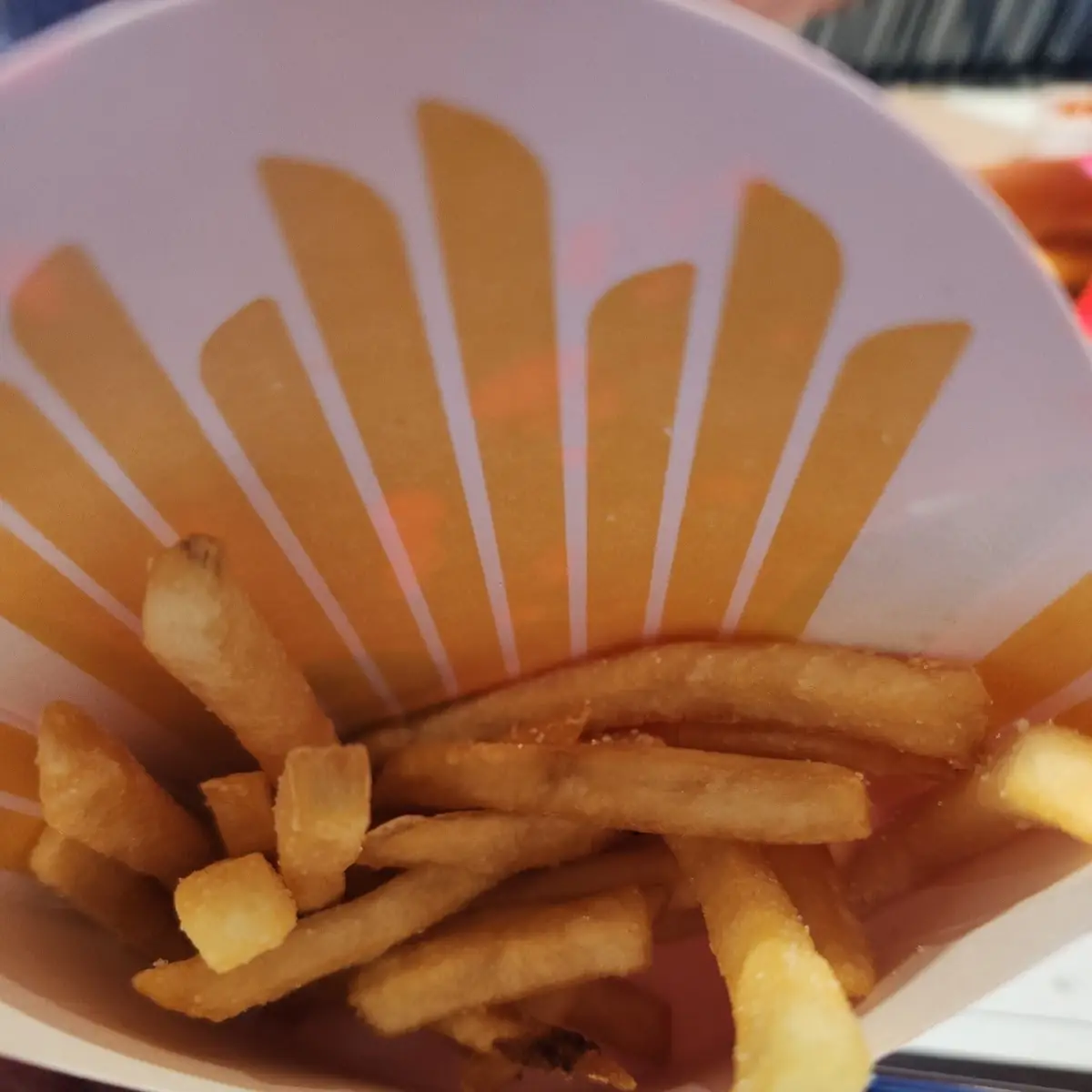 World Famous Fries