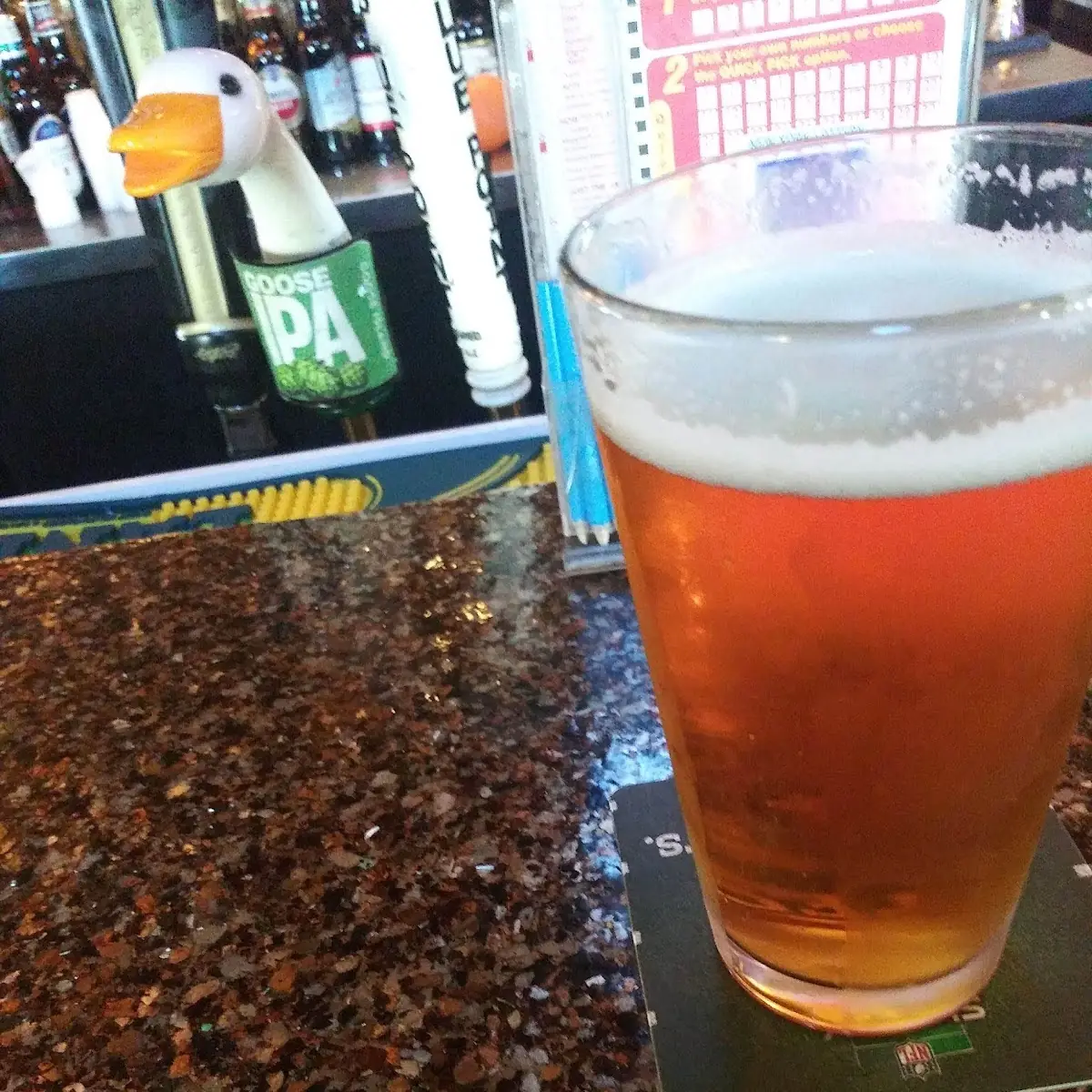 Goose Island IPA