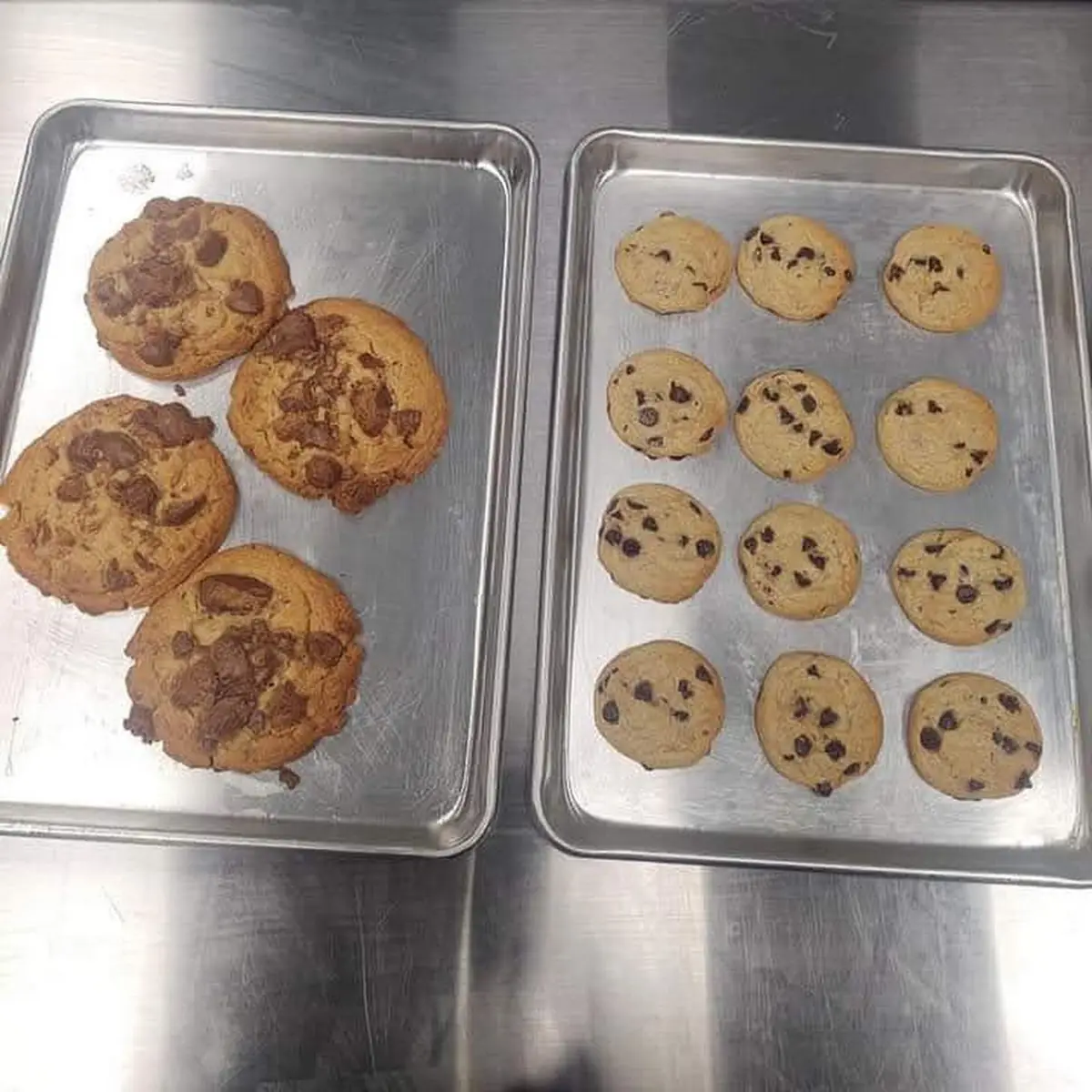 Chocolate Chip Cookie