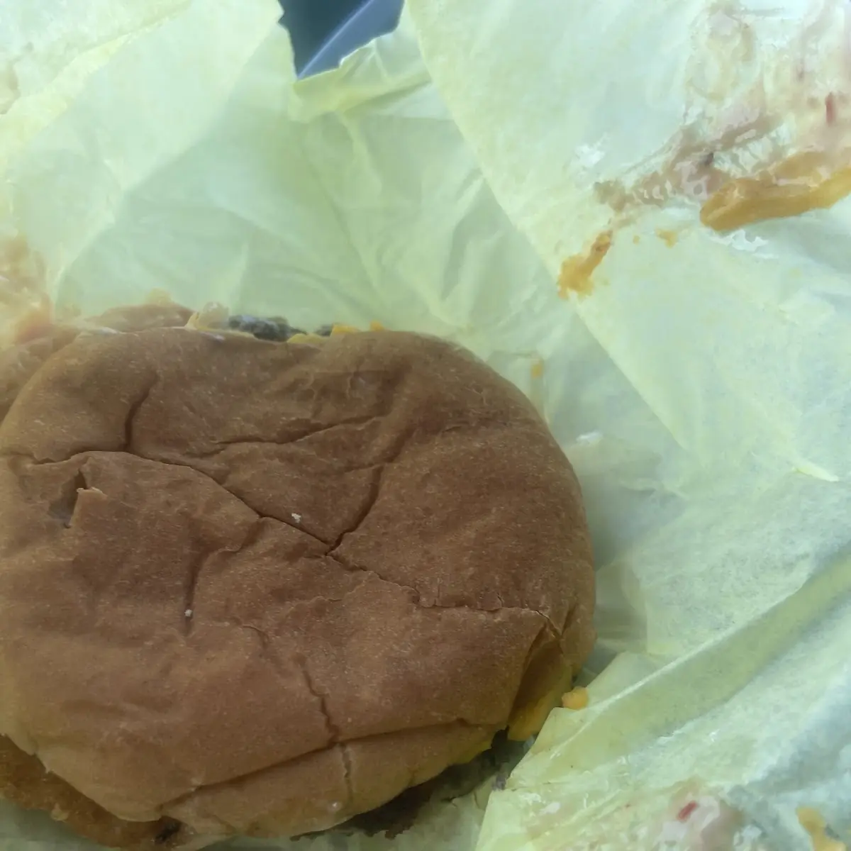 Plain Burger