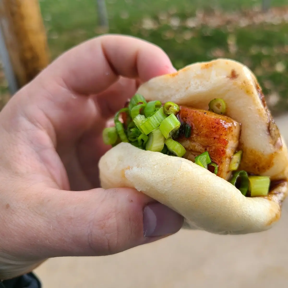 Pork Belly Steam Bun