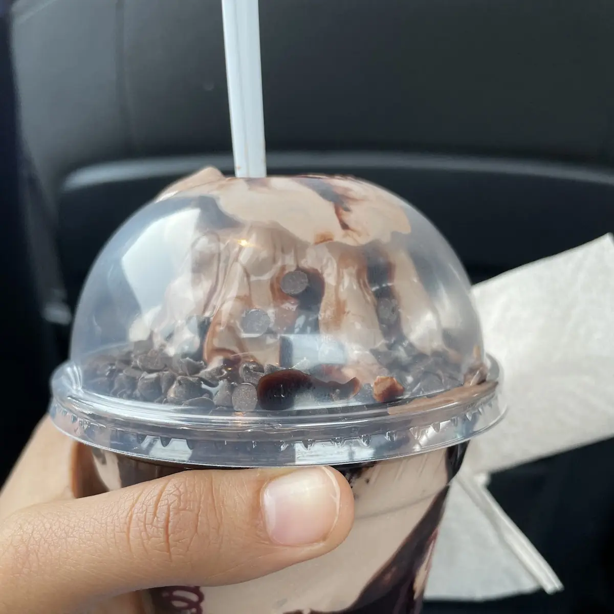Chocochip Double Layer Chocolate Fudge