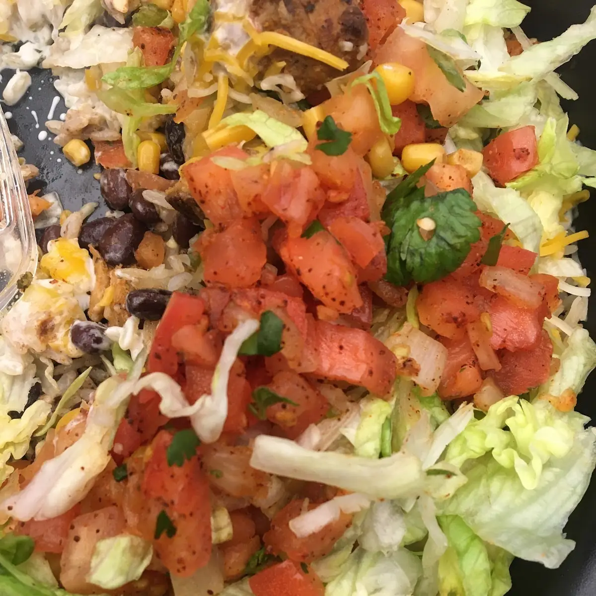 Burrito Bowl