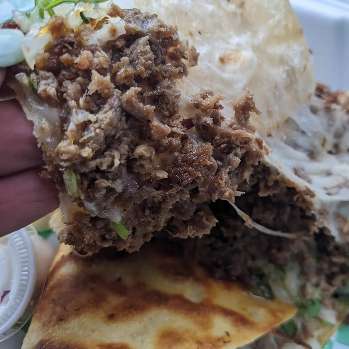 Steak Quesadilla