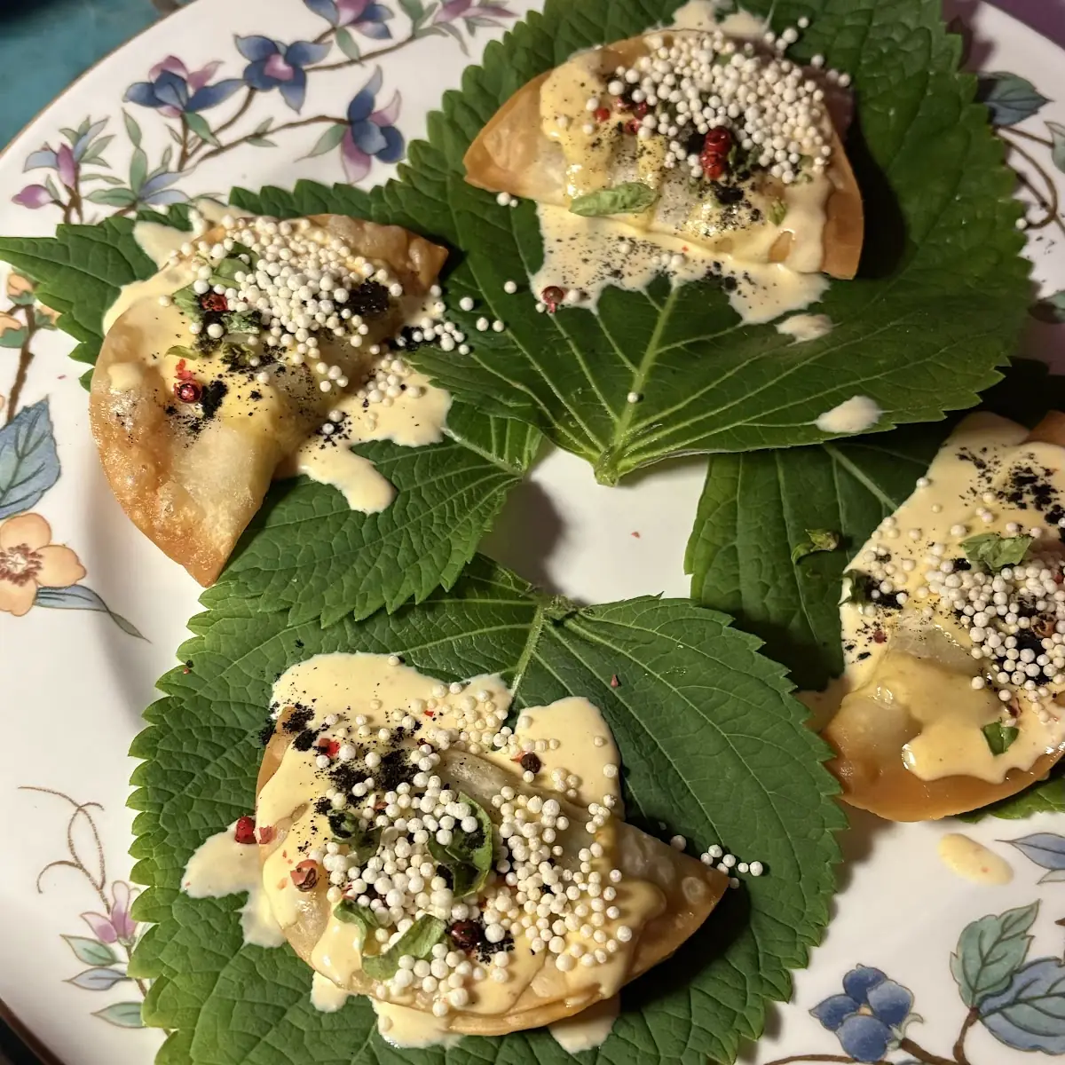 Shrimp Dumpling Ceviche Tostada