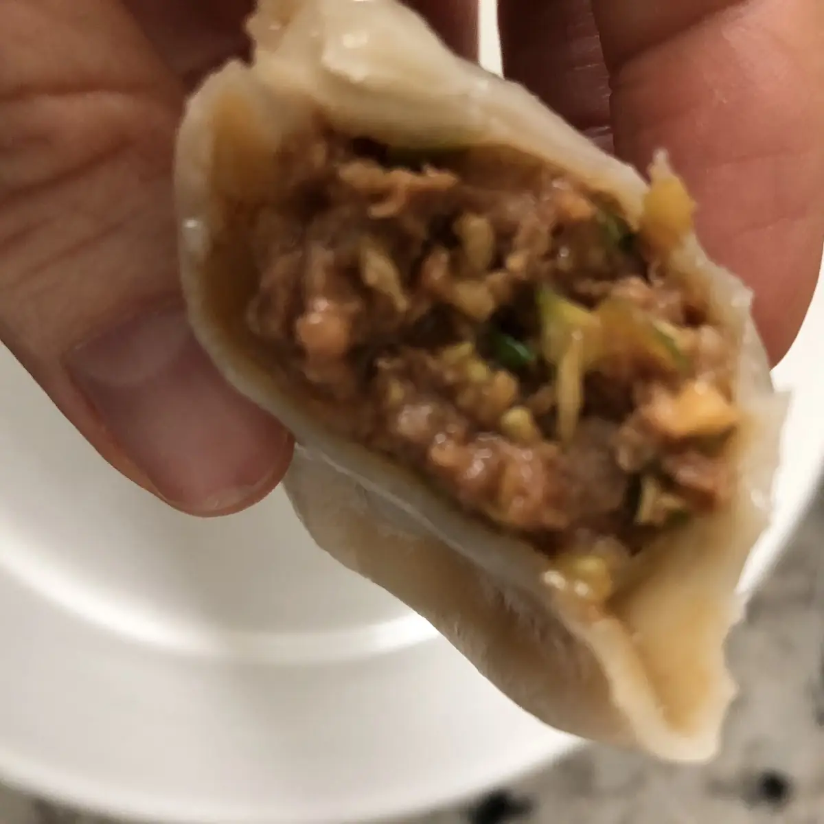 Kimchi Pork Dumplings 10