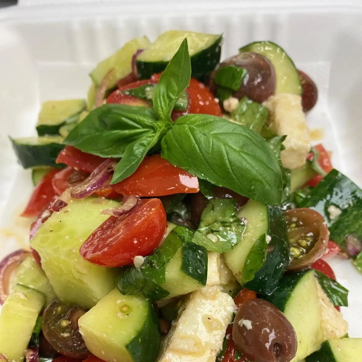 Garden Salad