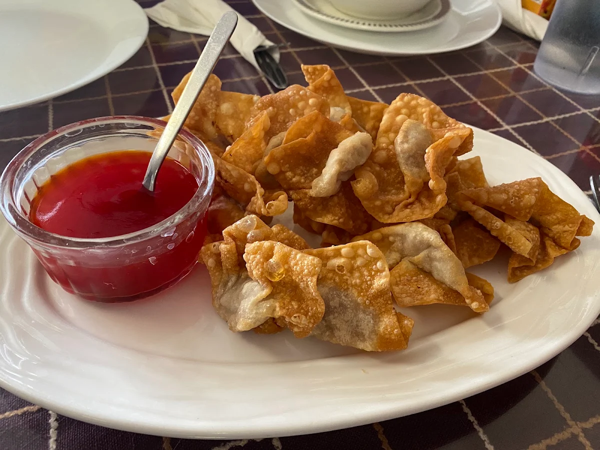Deep Fried Wonton