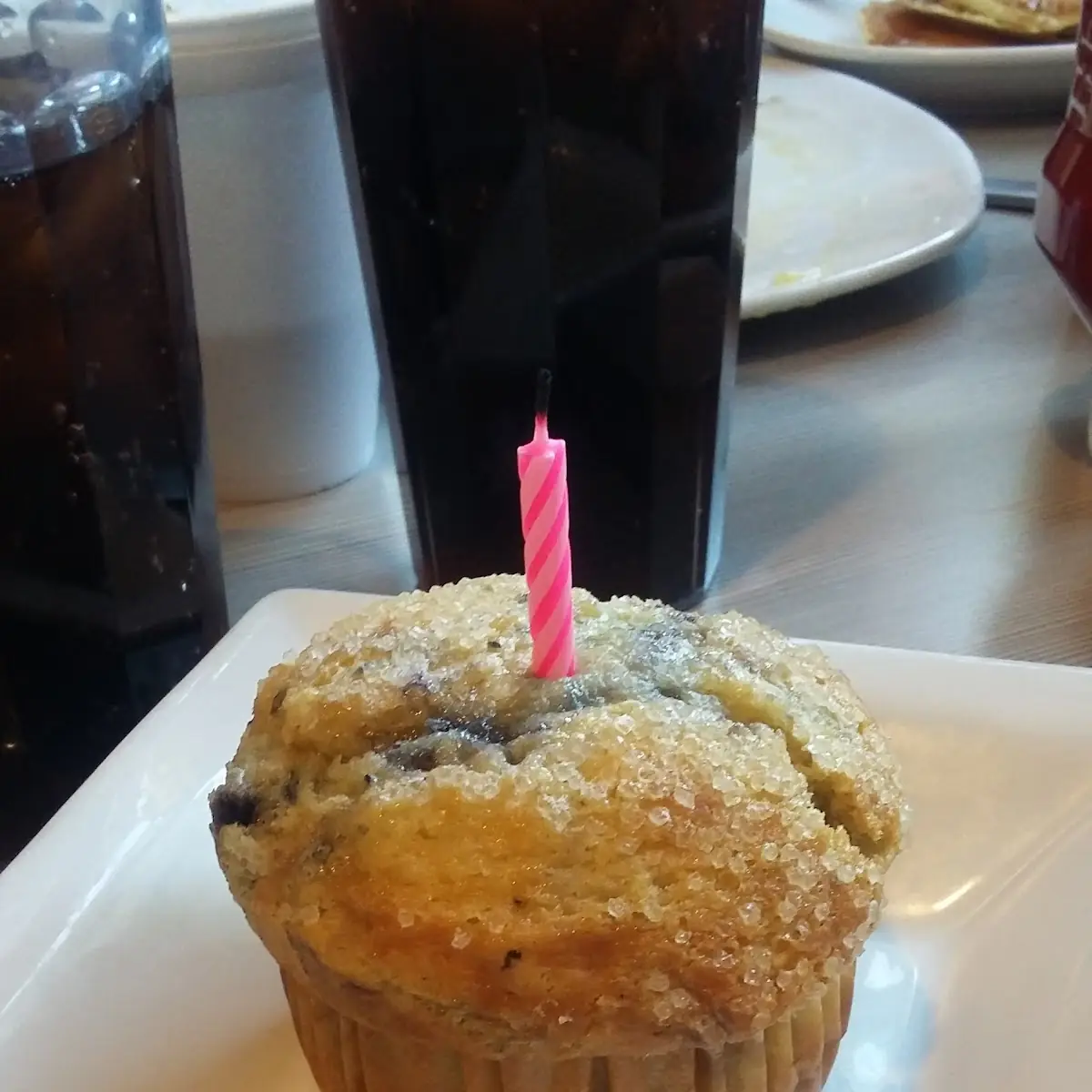 Blueberry Muffin