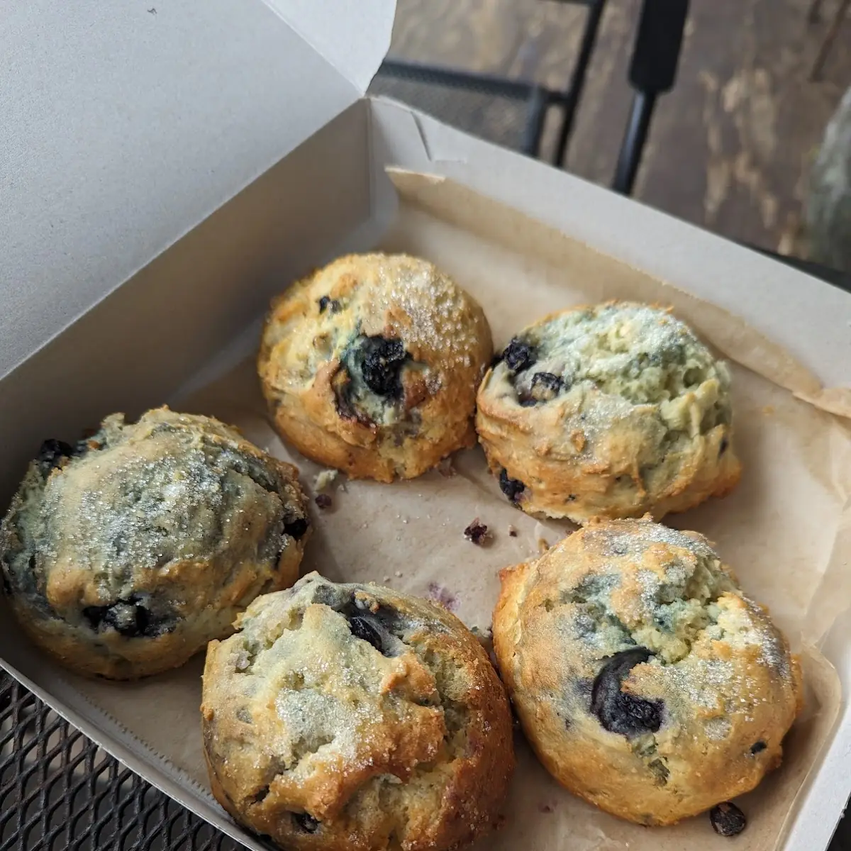 Blueberry Muffin