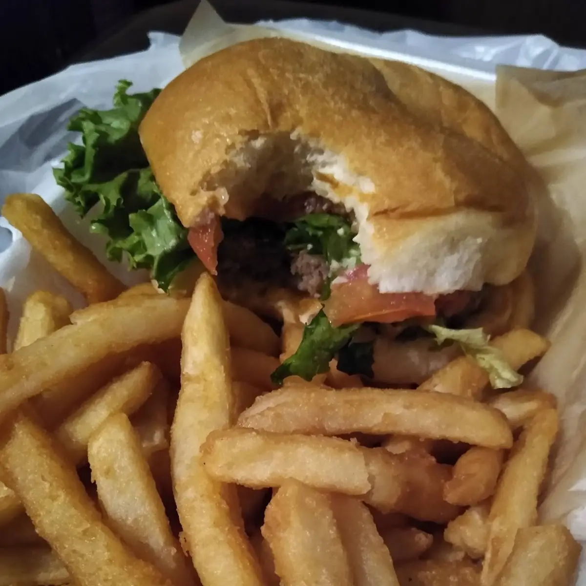 Burger and Fries Dressed