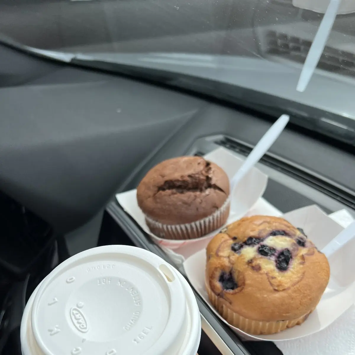 Blueberry Muffin