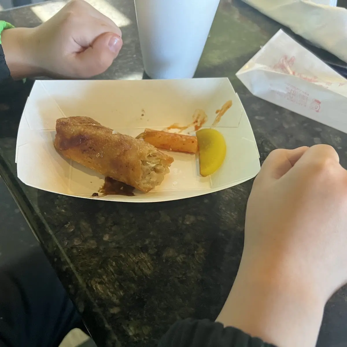 Fried Spring Roll