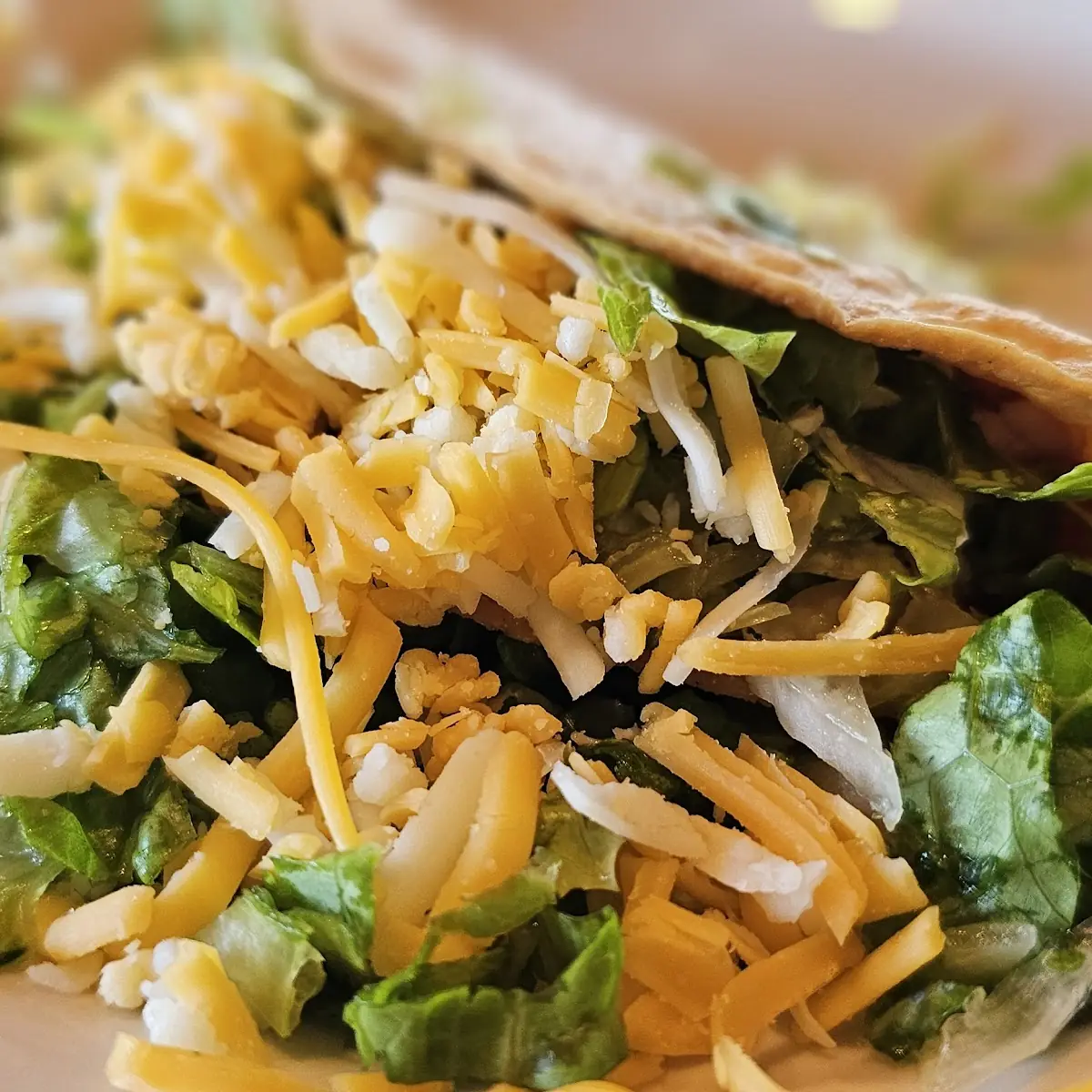 Shredded Beef Taco
