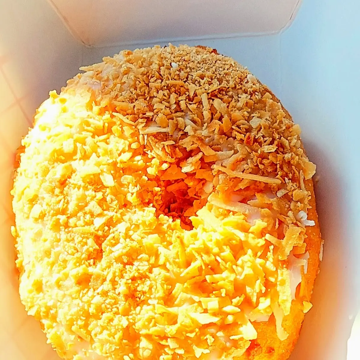 Toasted Coconut Doughnut