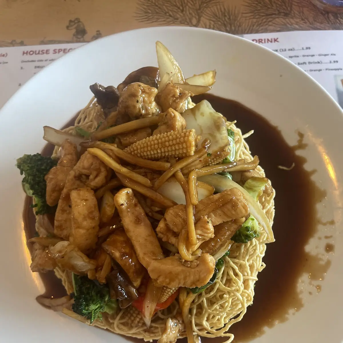 Crispy Fried Noodles