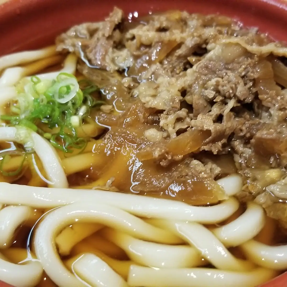 Beef Udon Noodle Soup