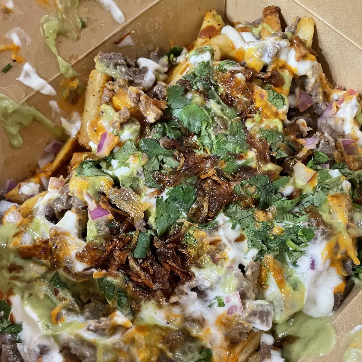 Carne Asada Fries