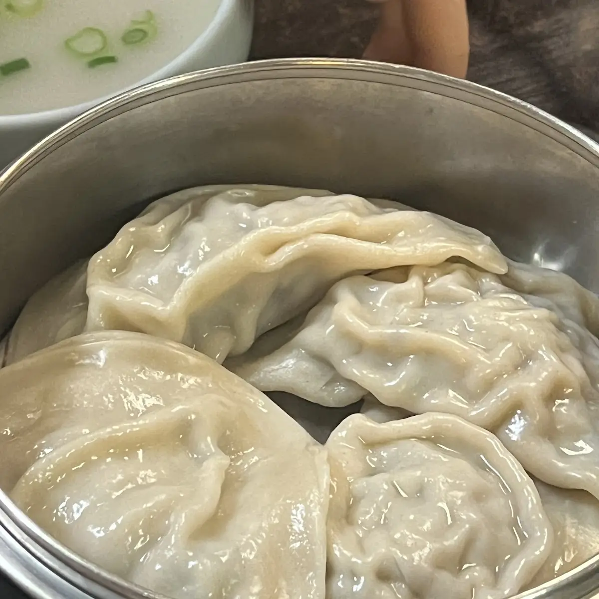 Pork Dumplings 고기만두