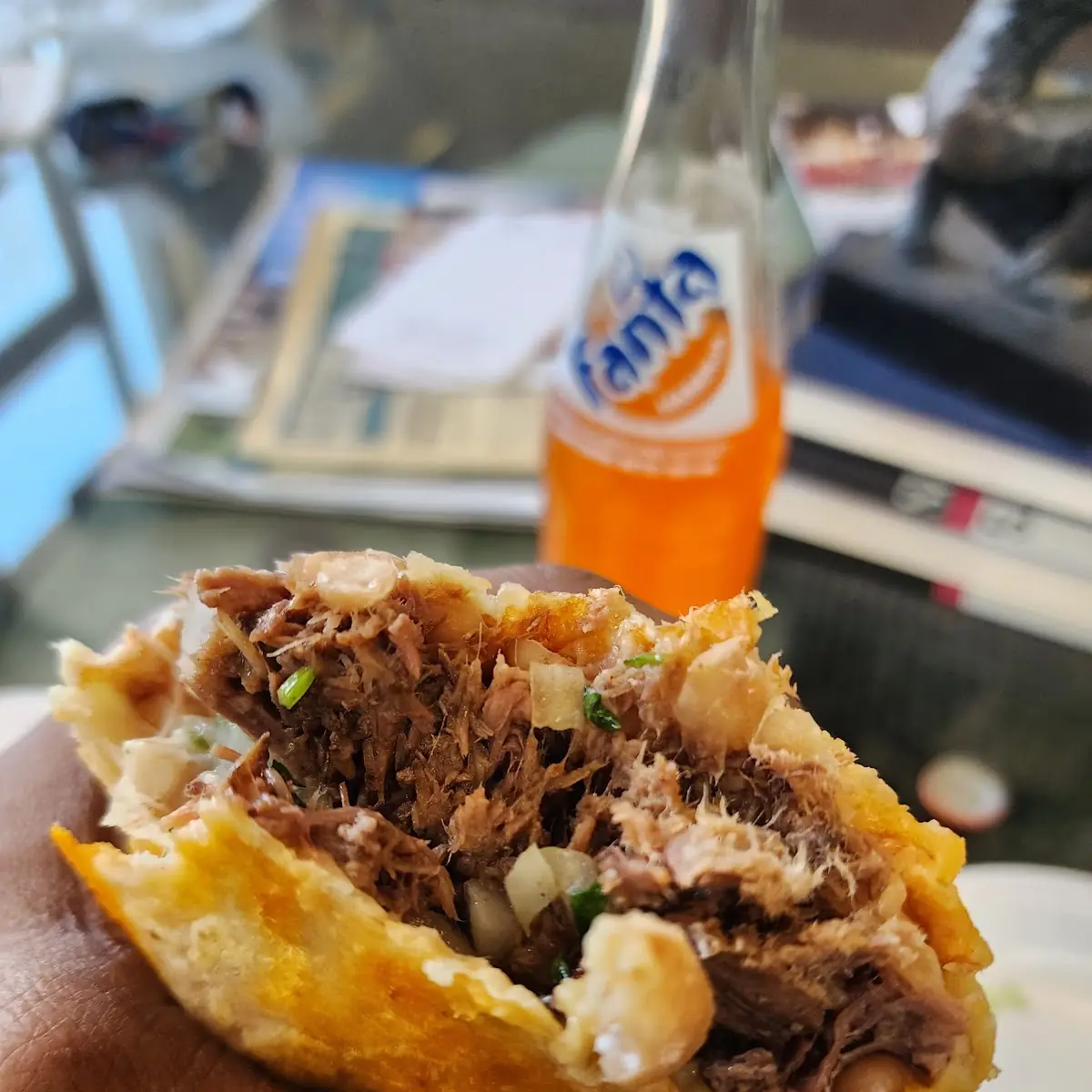 Birria Burrito