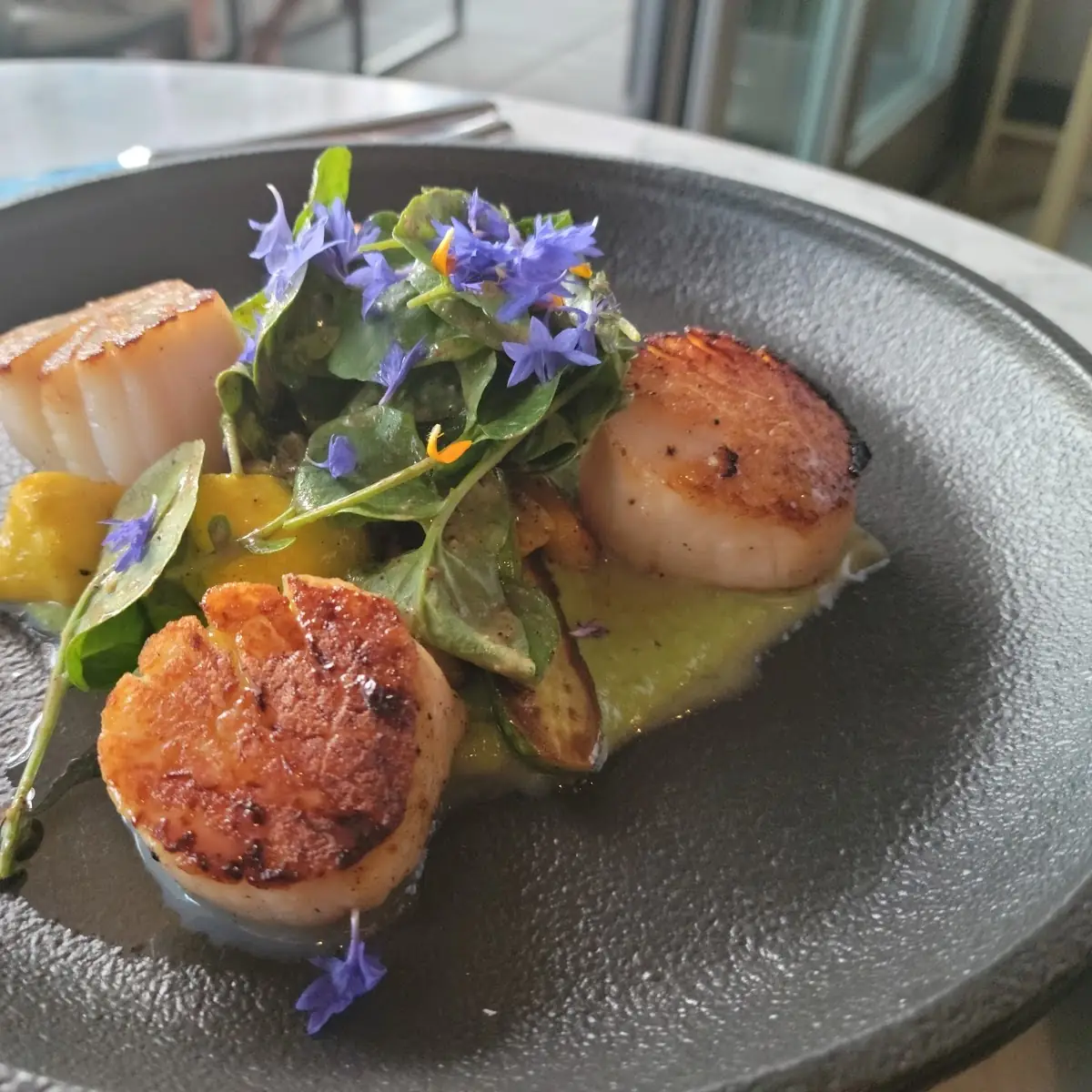 Day Boat Scallops