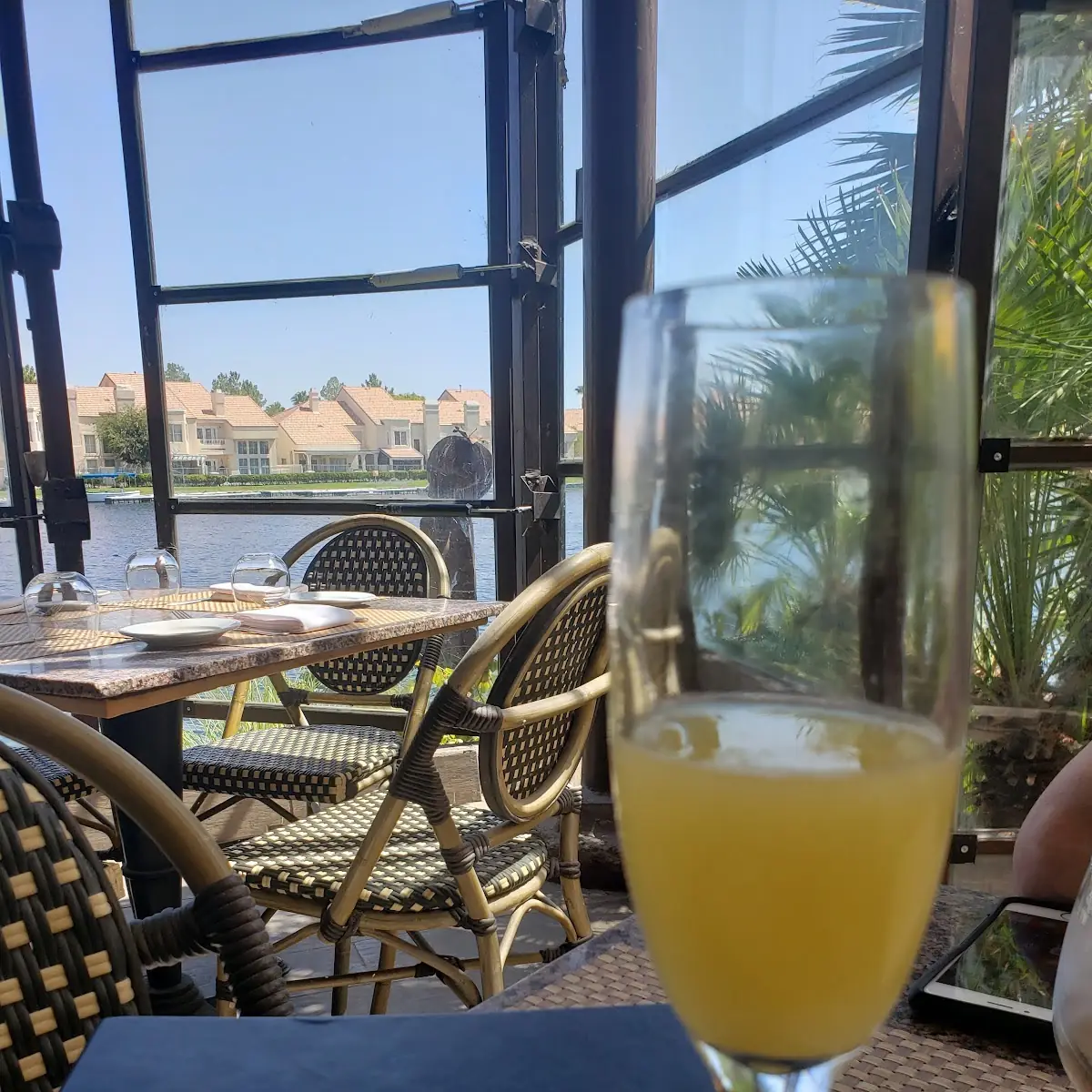 Bottomless Mimosas