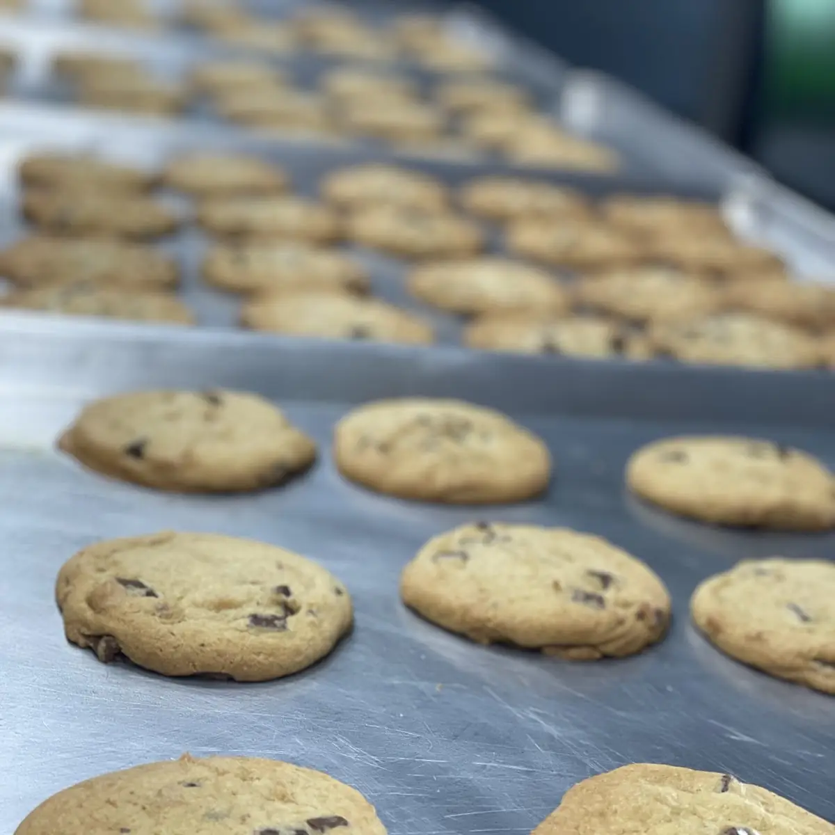 Chocolate Chip Cookie