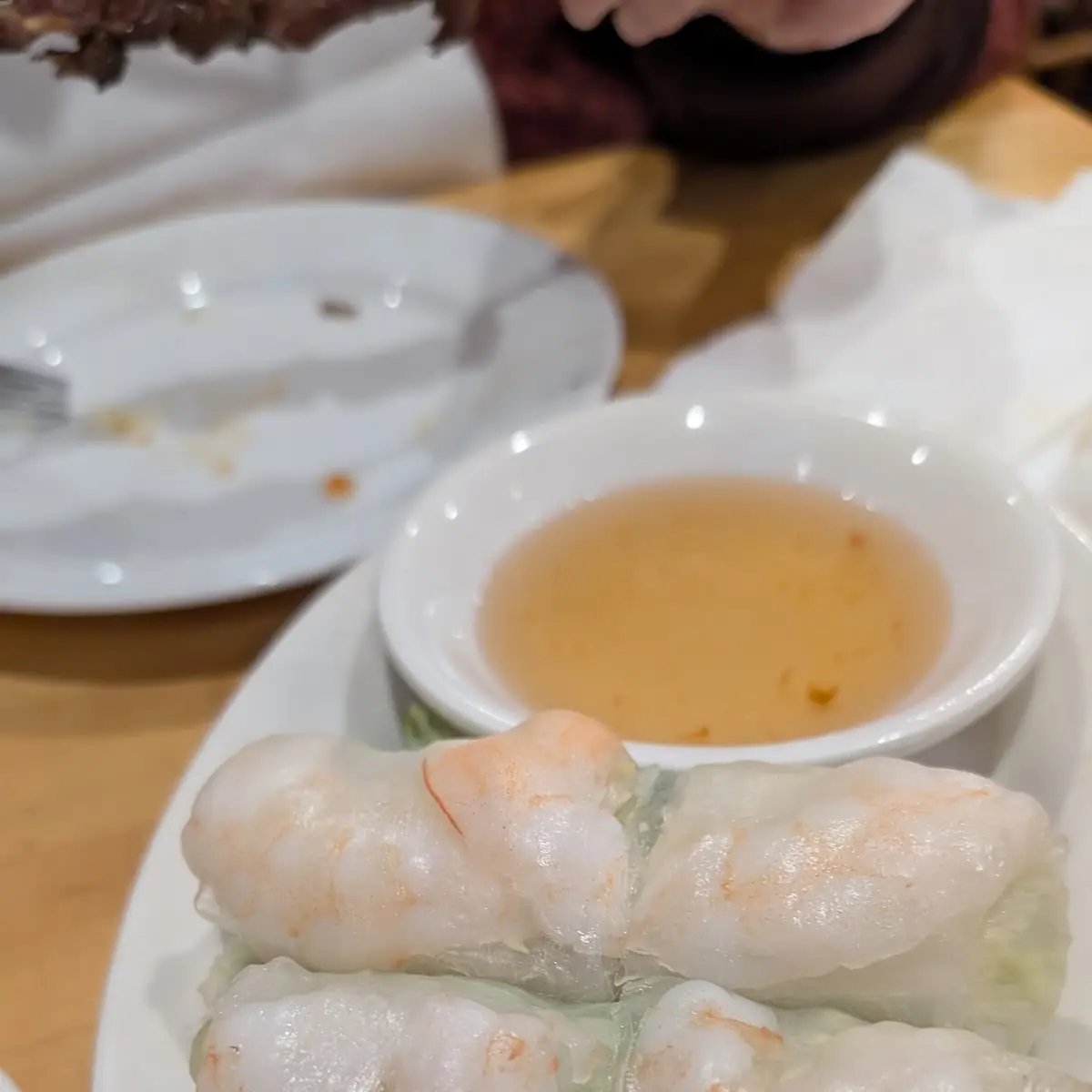 Spring Rolls