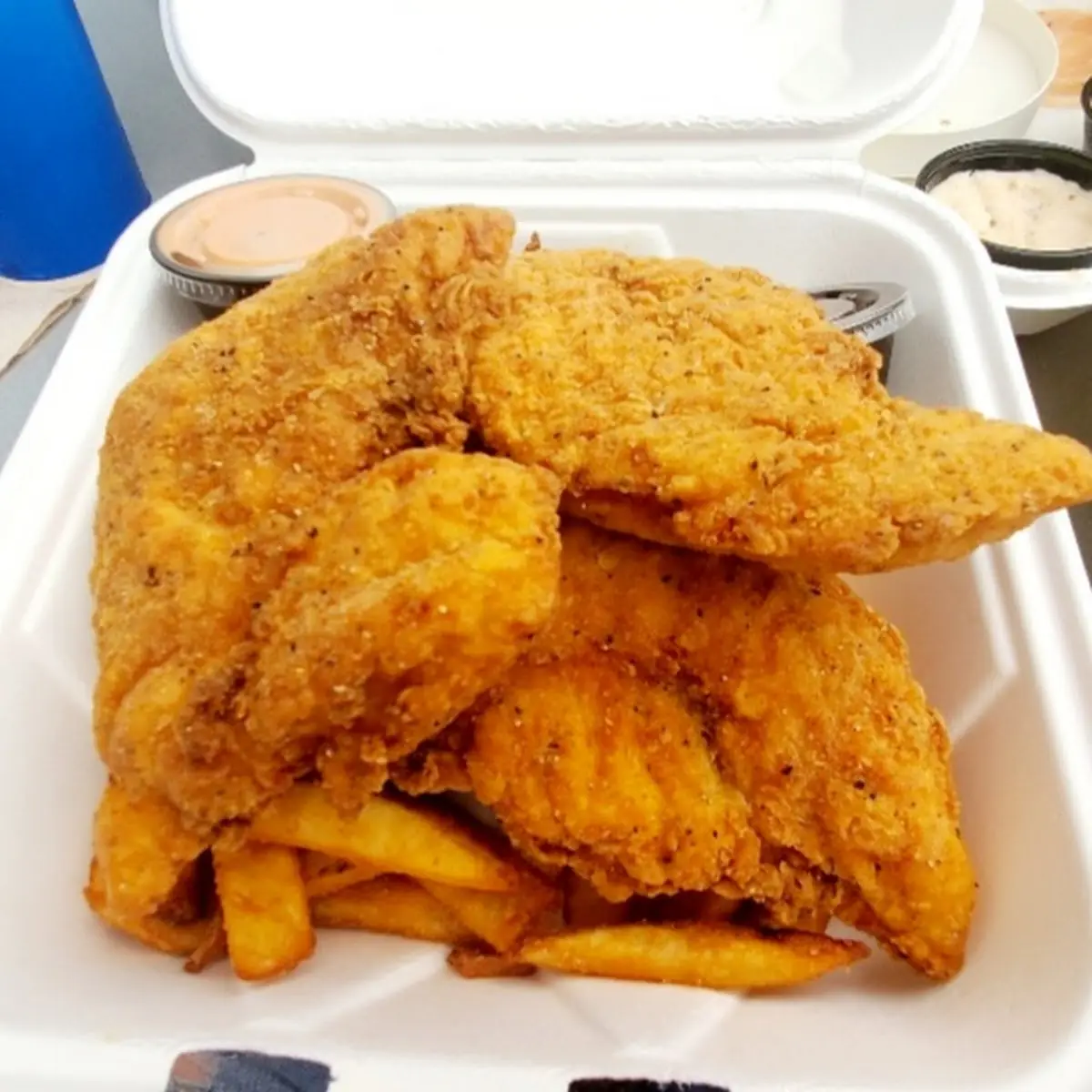 Chicken Strips & Fries