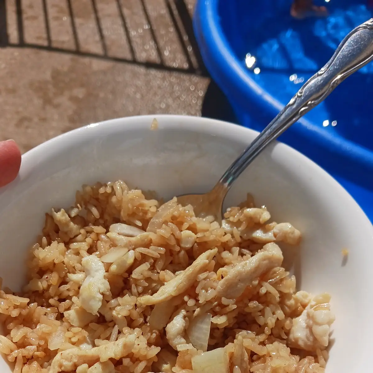 P3. Chicken Fried Rice Party Tray鸡炒饭大盘
