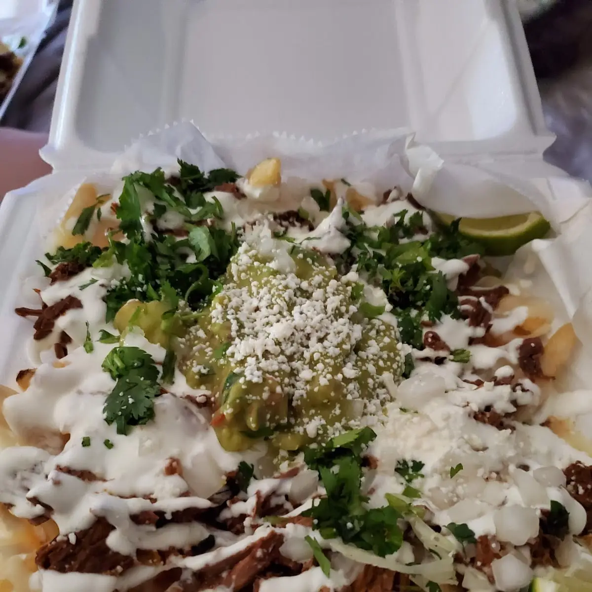 Super Asada Fries
