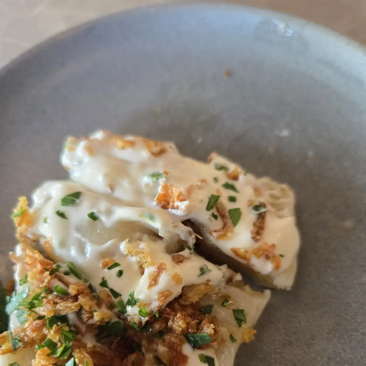 Short Rib Pierogi