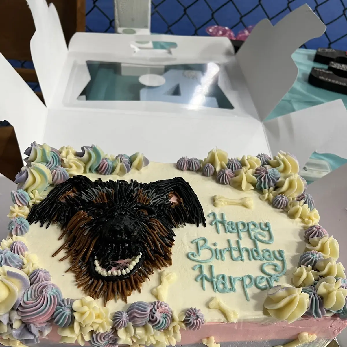 Birthday Cake