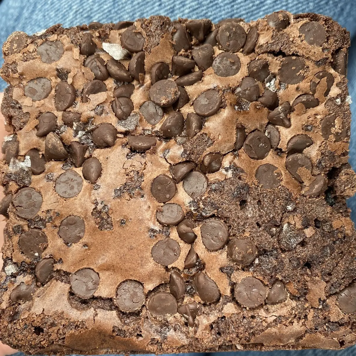 Chocolate Brownie