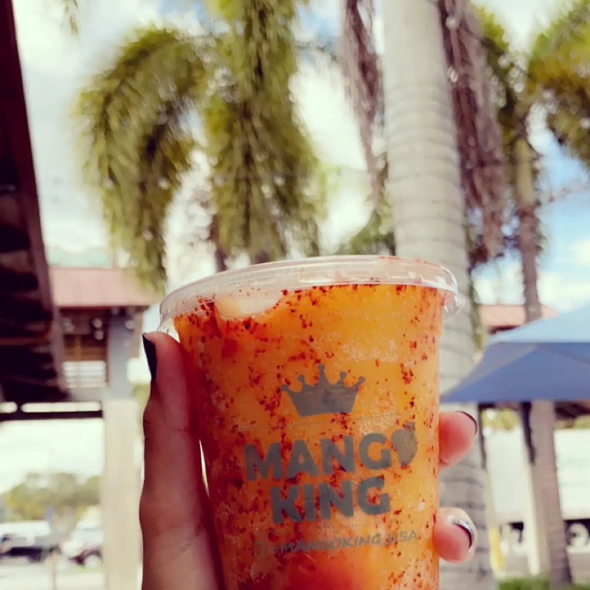 Mango Slush