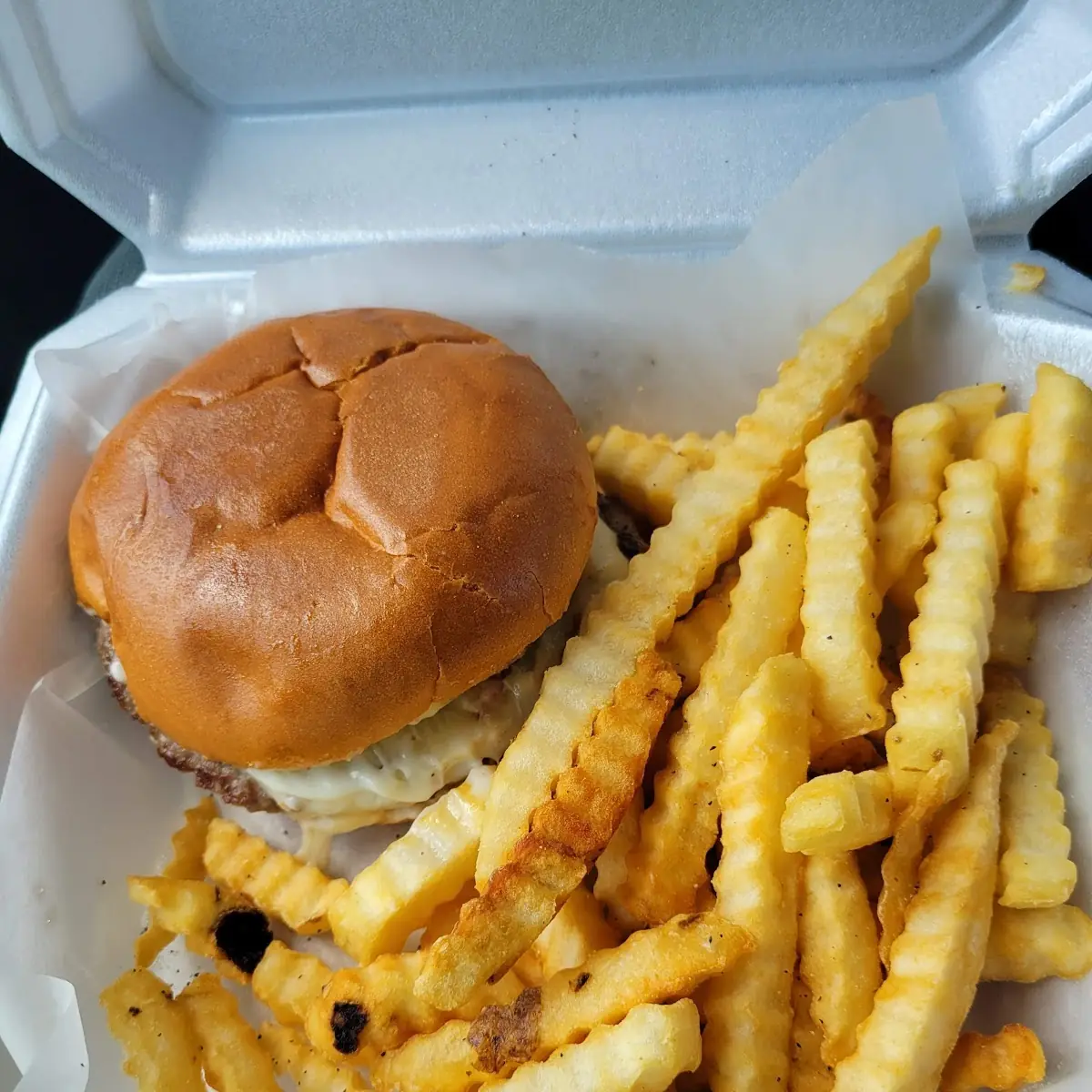 Burger and Fries