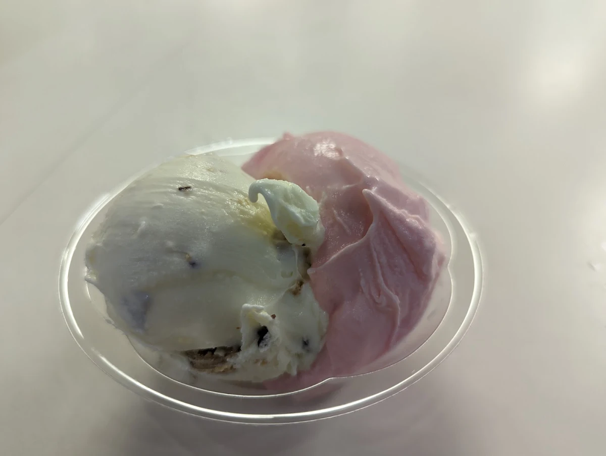 Mint Chip and Strawberry Rhubarb