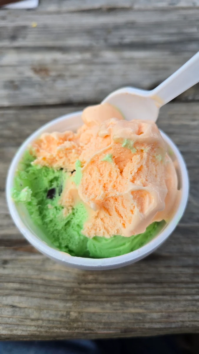 Peach Mint Chip Cookies E Cream