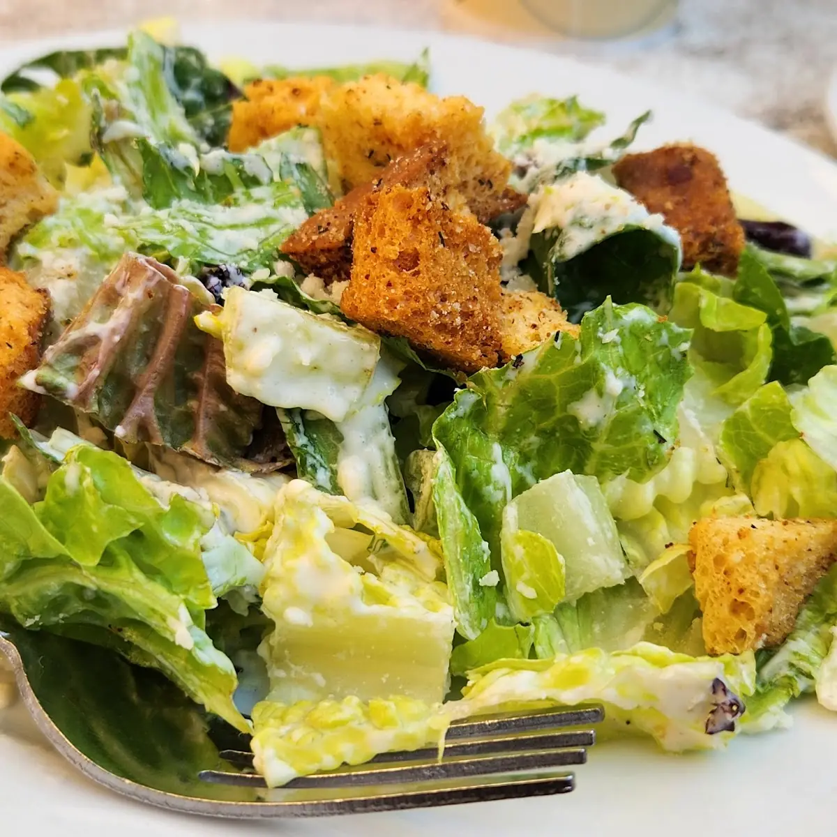 Chicken Caesar Salad