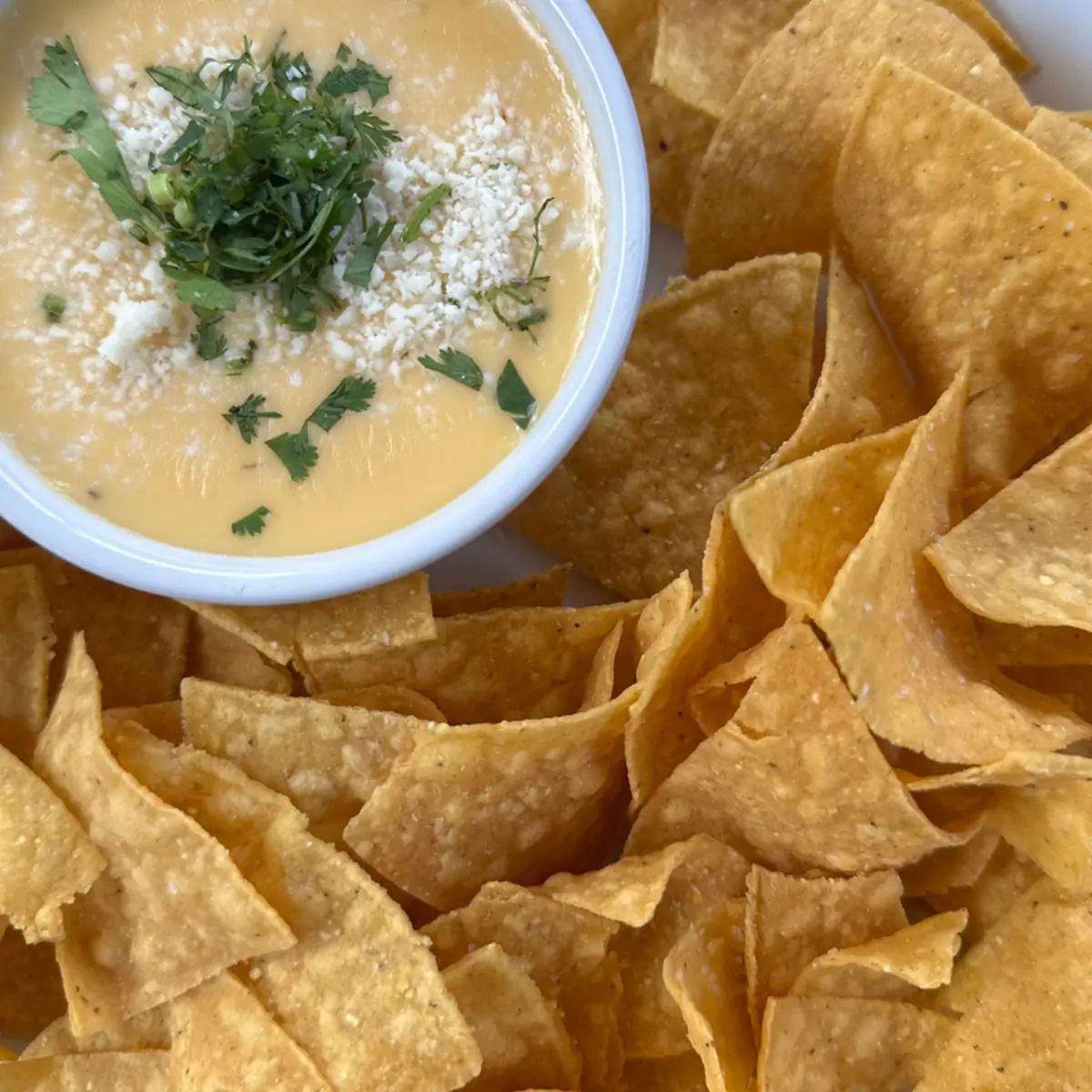 Crispy Tortilla Chips and Queso Dip