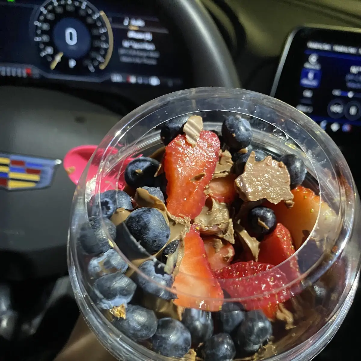 Fresh Fruit Cup with Melted Chocolate